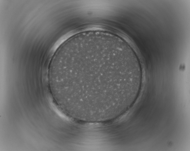 X0000113080858200909182048