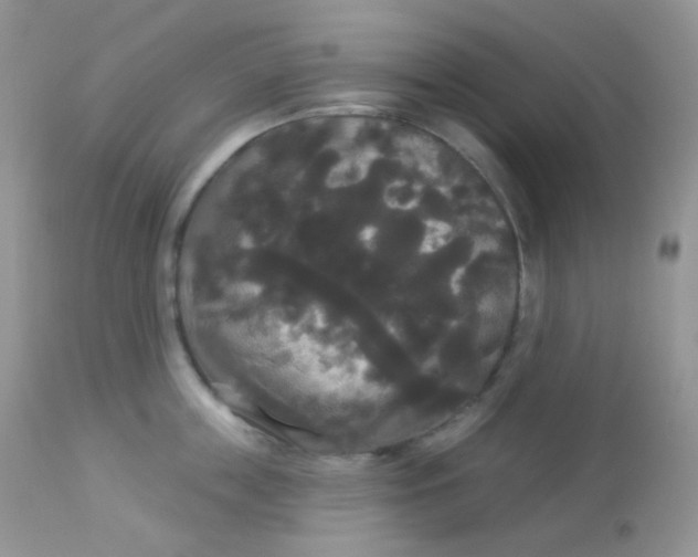 X0000113080859200909182048