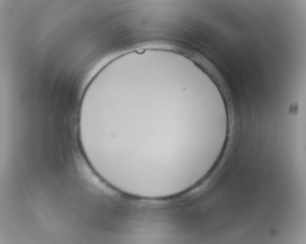 X0000113080860200909182048