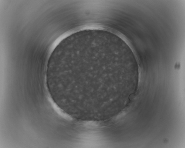 X0000113080861200909182048