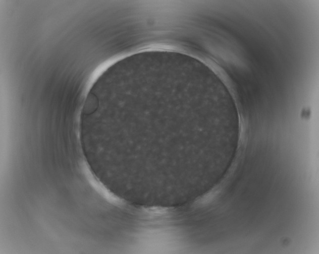 X0000113080862200909182048