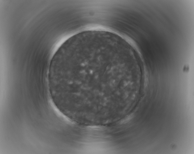 X0000113080863200909182048