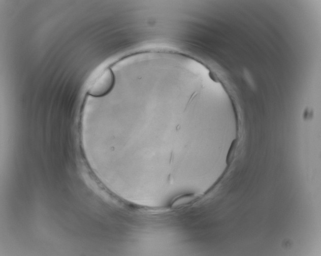 X0000113080864200909182048