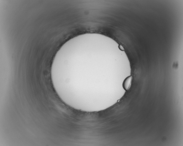 X0000113080865200909182047