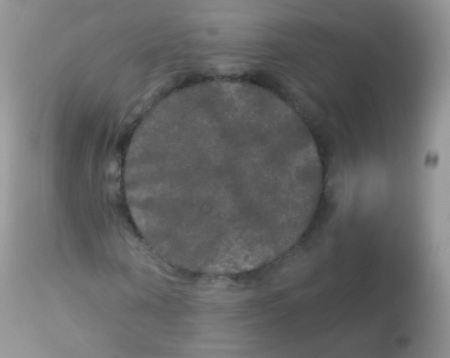 X0000113080866200909182047