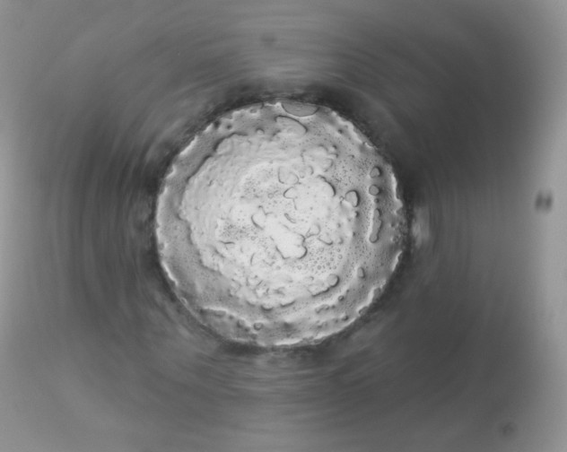 X0000113080867200909182047