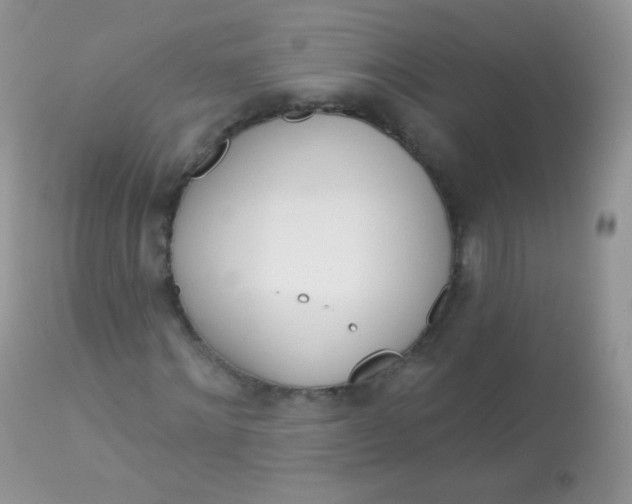 X0000113080868200909182047