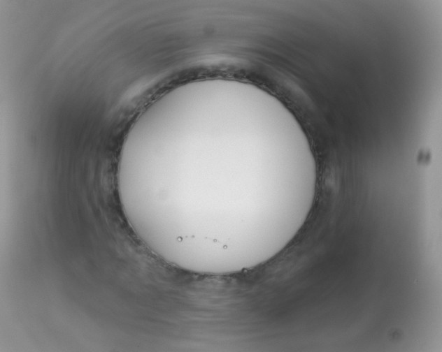 X0000113080869200909182047