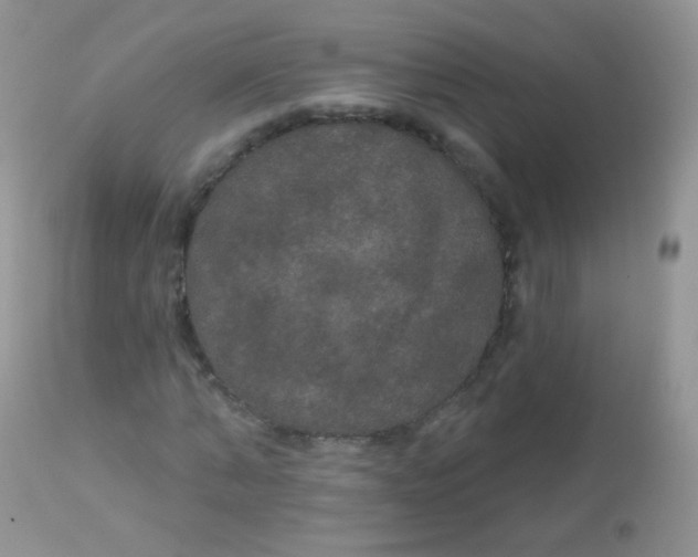 X0000113080870200909182047