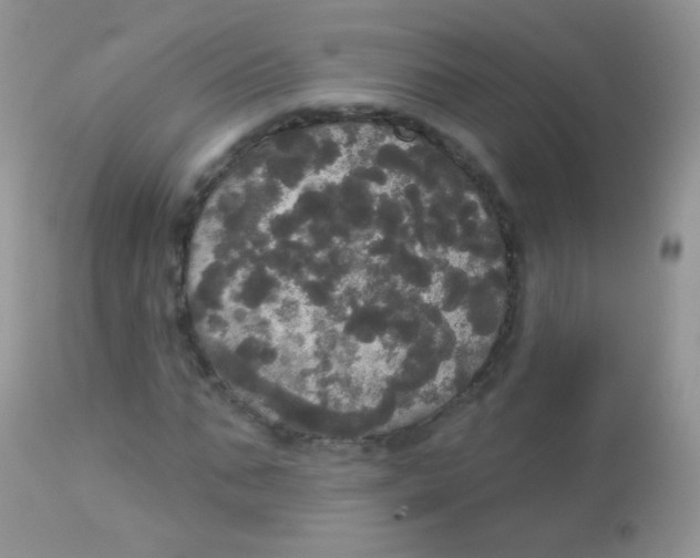 X0000113080871200909182047