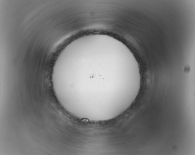 X0000113080872200909182047