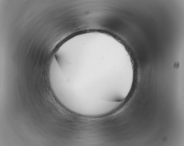 X0000113080873200909182047