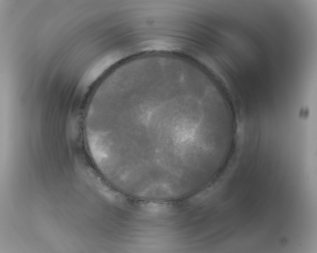 X0000113080874200909182047