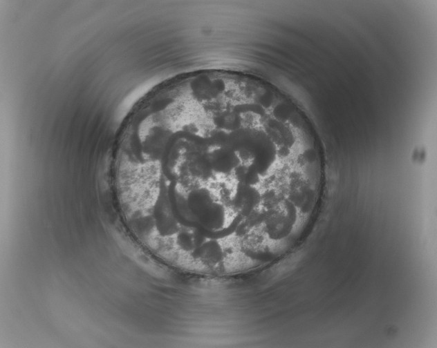 X0000113080875200909182047