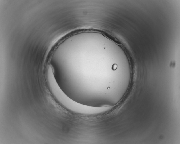 X0000113080876200909182047