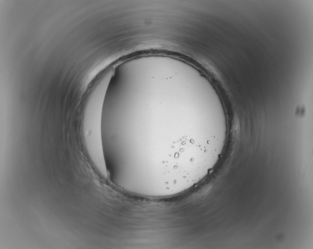 X0000113080877200909182047