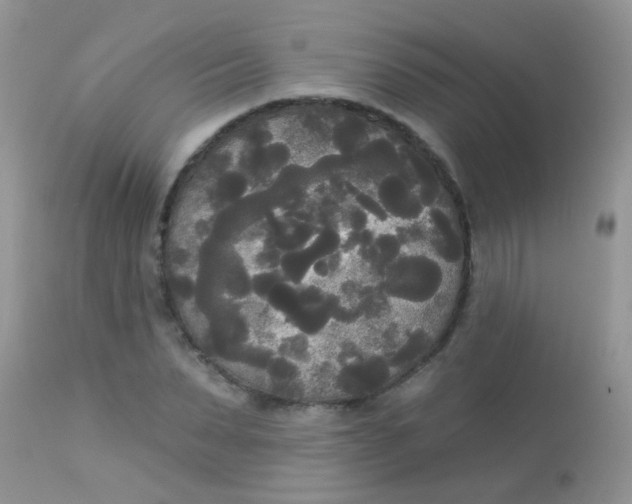 X0000113080879200909182047