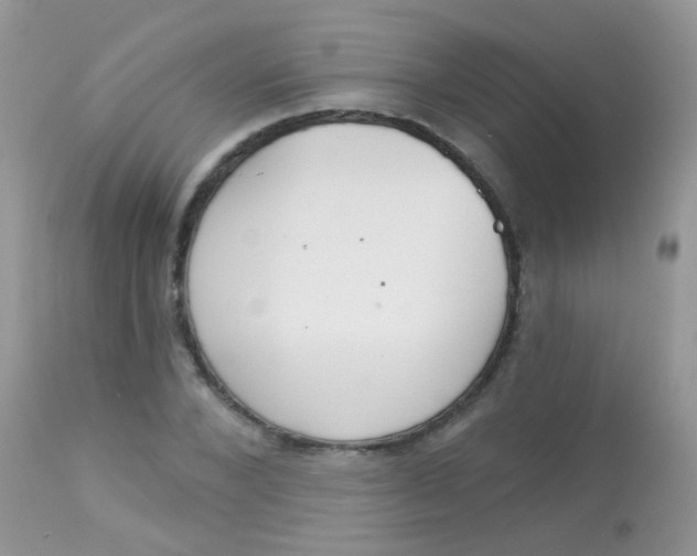 X0000113080880200909182047