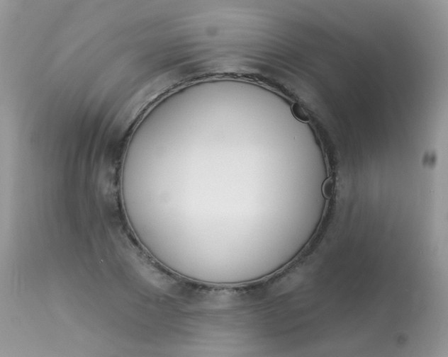 X0000113080881200909182047