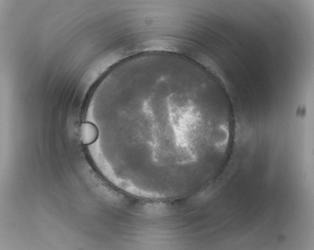 X0000113080882200909182047