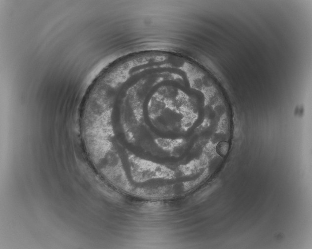 X0000113080883200909182047