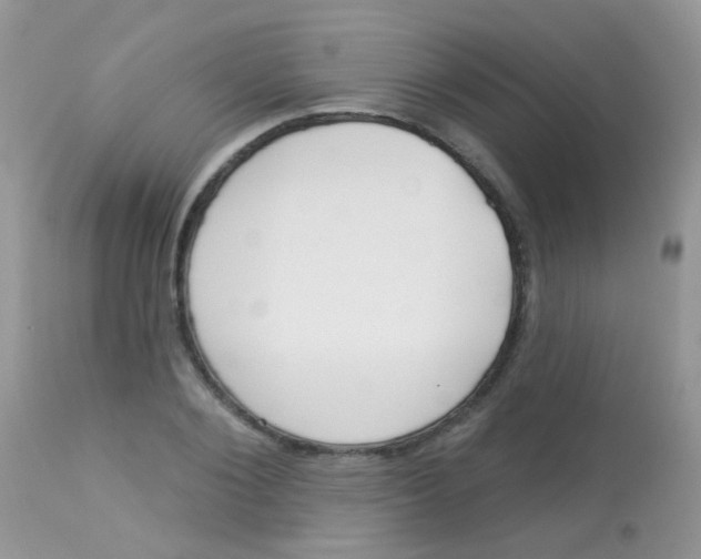 X0000113080884200909182047