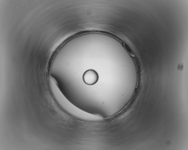 X0000113080885200909182047