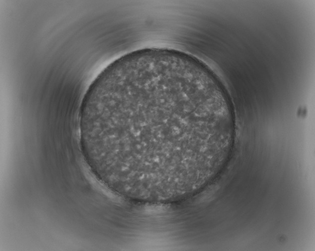 X0000113080887200909182047