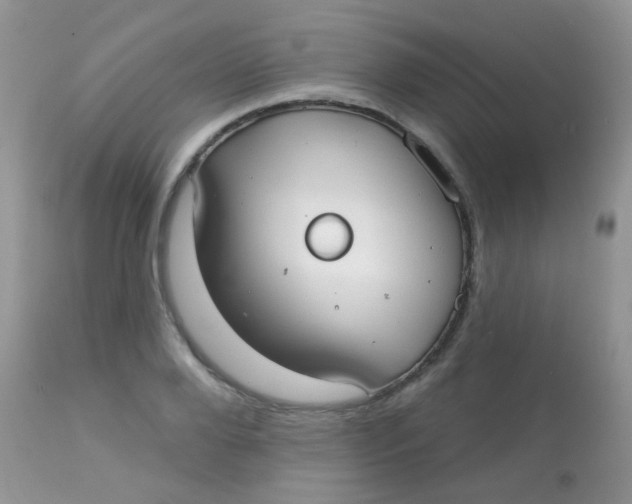 X0000113080888200909182047