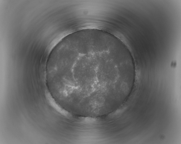 X0000113080890200909182047