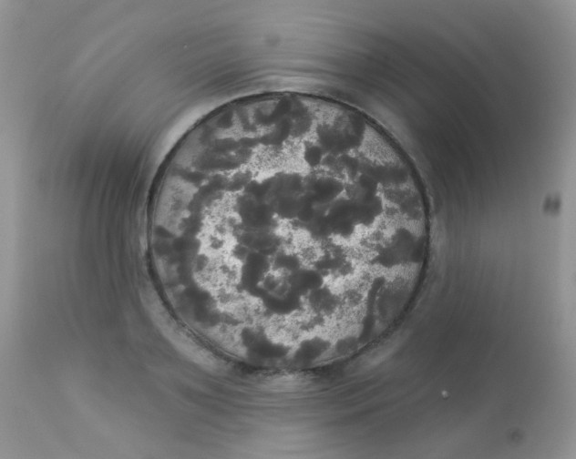 X0000113080891200909182047