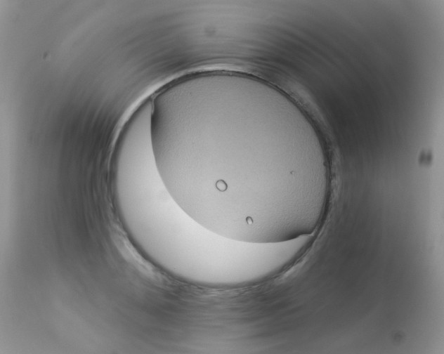 X0000113080892200909182047