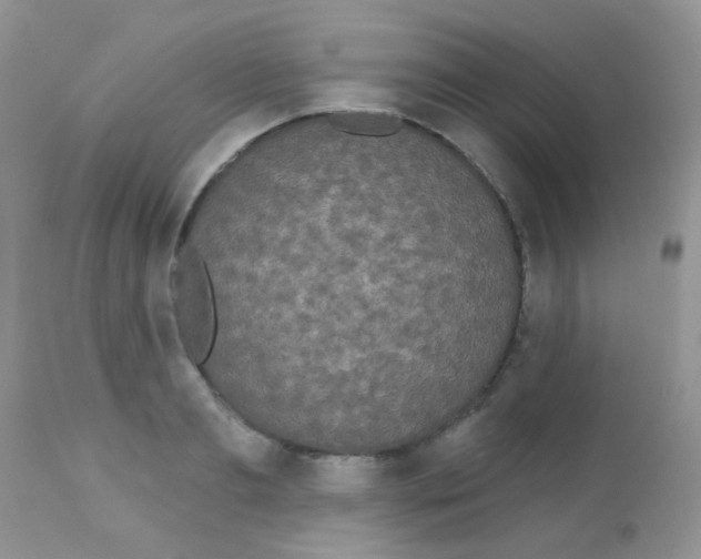 X0000113080893200909182047