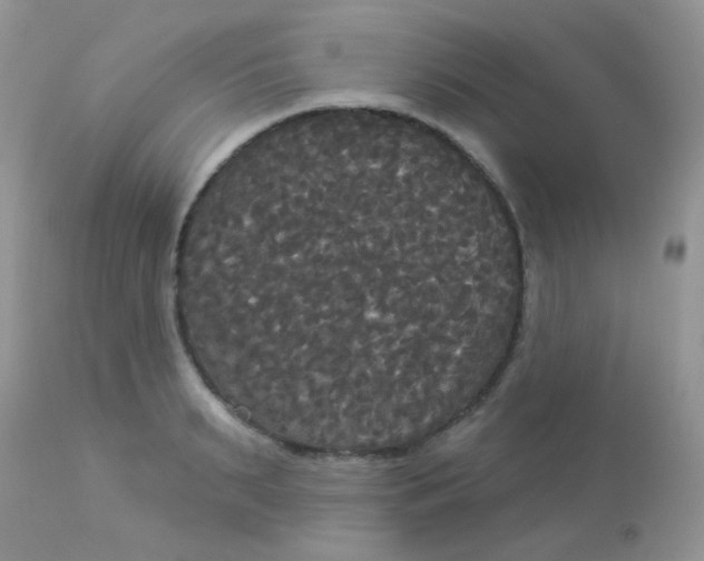 X0000113080895200909182047