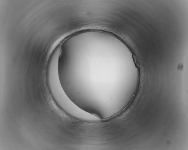 X0000113080896200909182047