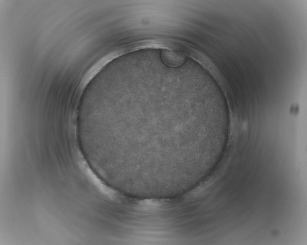 X0000113080898200909182046