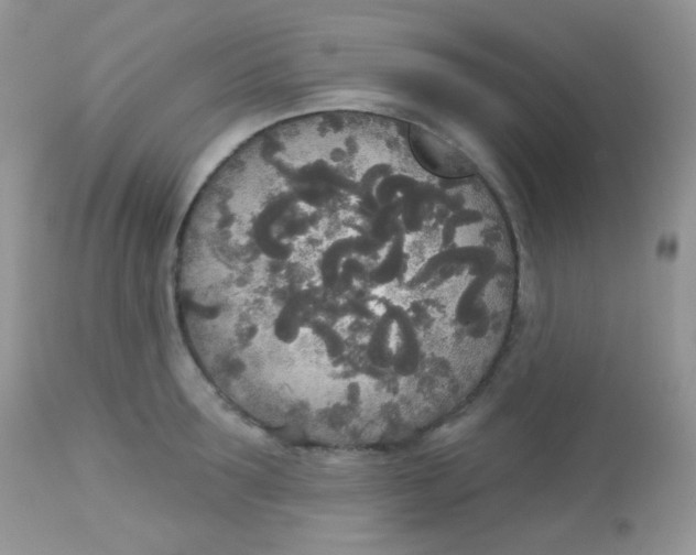 X0000113080899200909182046