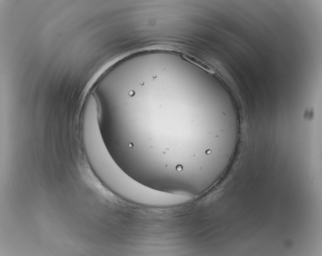 X0000113080900200909182046