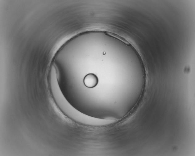 X0000113080901200909182046