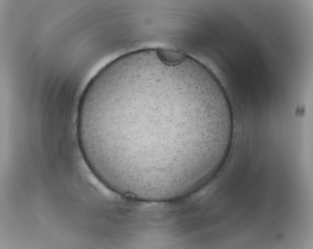 X0000113080902200909182046