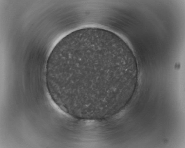 X0000113080903200909182046