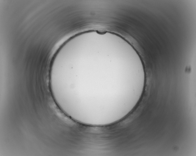 X0000113080904200909182046