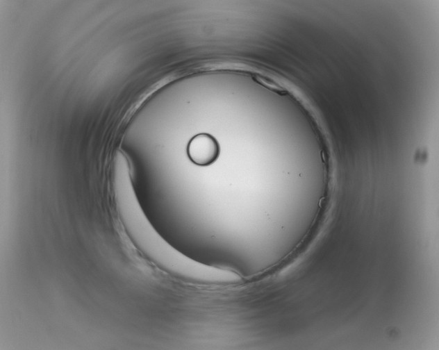 X0000113080905200909182046