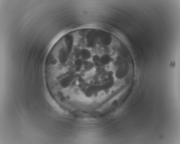 X0000113080907200909182046