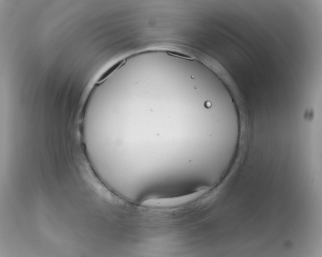 X0000113080908200909182046