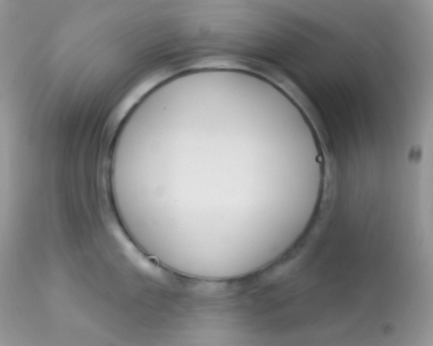 X0000113080909200909182046