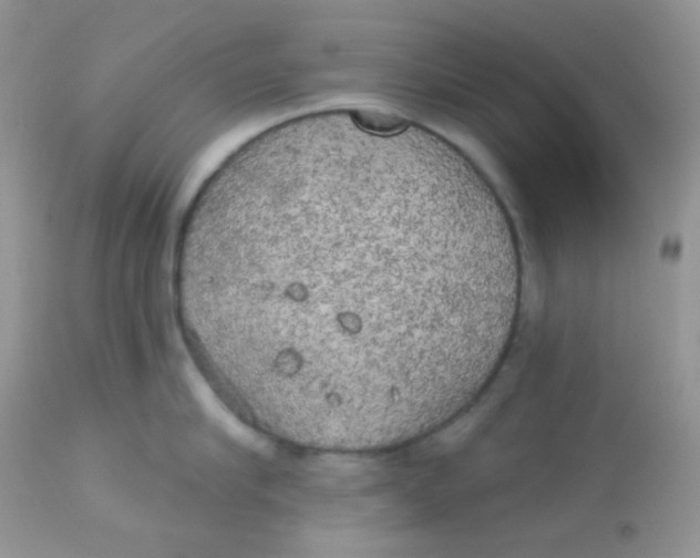 X0000113080910200909182046