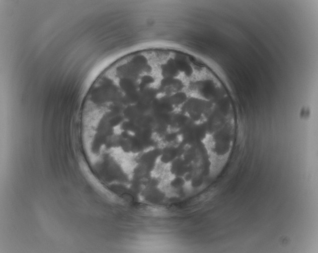 X0000113080911200909182046