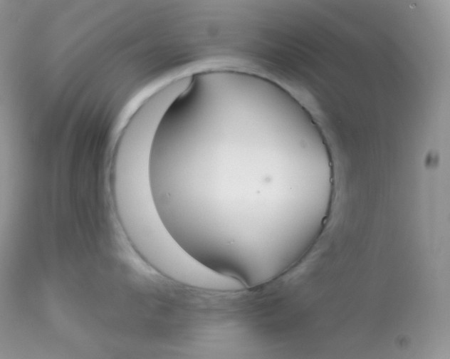 X0000113080912200909182046