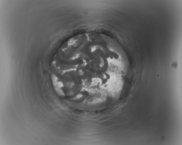 X0000113080913200909182045